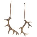 Rustic Antler Decorations Set