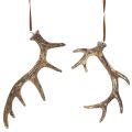 Rustic Antler Decorations Set