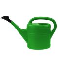Floristik24 Watering can 5l may green