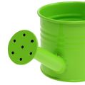 Floristik24 Watering can green mix Ø7.5cm H7.5cm 8pcs