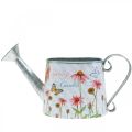 Floristik24 Decorative watering can for planting metal plant bucket flowers H15.5cm