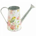 Floristik24 Decorative watering can metal for planting, planting can H22cm