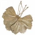 Floristik24 Ginkgo Leaf Pendant Ginkgo Vintage Deco Metal 15×11cm 4pcs