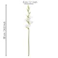 Artificial Gladiolus Long Stem for Vases 88cm White | Floristik24.co.uk