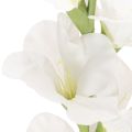 Artificial Gladiolus Long Stem for Vases 88cm White | Floristik24.co.uk