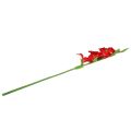 Floristik24 Gladiolus red artificial 86cm