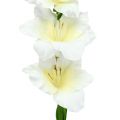 Floristik24 Gladiolus white 86cm artificial