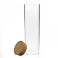 Floristik24 Glass with cork lid Glass cylinder with cork Clear Ø6cm H21cm