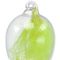 Floristik24 Glass Easter Egg with feathers for hanging 6,5cm light green 6pc
