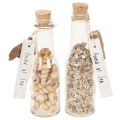 Floristik24 Set of 2 Glass Bottles with Seashells and Tags – 17cm Decorative Maritime Ornament