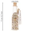 Set of 2 Glass Bottles with Seashells and Tags – 17cm Decorative Maritime Ornament | Floristik24.co.uk