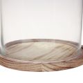 Floristik24 Glass bell with wooden plate glass decoration Ø17cm H25cm