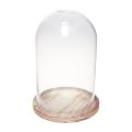 Floristik24 Glass bell with wooden plate glass decoration Ø17cm H25cm