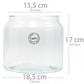 Floristik24 Glass lantern, decorative vase, candle decoration Ø18.5cm H21cm