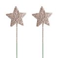 Floristik24 Glitter star on wire 4cm L23cm light gold
