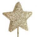 Floristik24 Glitter stars on wire 5cm gold L23cm 48pcs