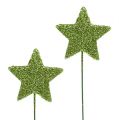 Floristik24 Glitter stars on the wire Green 5cm 48pcs