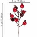 ProductNameArtificial Red Pomegranate Branches, 19 cm, Set of 4 for Vase Decoration/ProductName
ProductDescription<h2>Artificial Pomegranate Branches for Vase Decoration at Home</h2>
<p>This set contains four artificial pomegranate branches with branching | Floristik24.co.uk