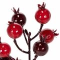 ProductNameArtificial Red Pomegranate Branches, 19 cm, Set of 4 for Vase Decoration/ProductName
ProductDescription<h2>Artificial Pomegranate Branches for Vase Decoration at Home</h2>
<p>This set contains four artificial pomegranate branches with branching | Floristik24.co.uk