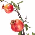 Artificial Pomegranate Branch, 68 cm, Red Fruit for Table Decoration | Floristik24.co.uk