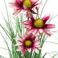 Floristik24 Artificial Grass with Echinacea in a pot Pink 44cm