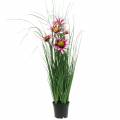 Floristik24 Artificial Grass with Echinacea in a pot Pink 63 cm