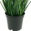 Floristik24 Quaking Grass Artificial Grass Artificial Potted Plant 36cm