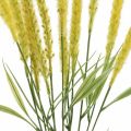 Floristik24 Artificial grasses yellow foxtail artificial flowers 62cm 4pcs