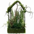 Floristik24 Moss deco grass house with artificial moss and fern