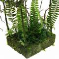 Floristik24 Moss deco grass house with artificial moss and fern