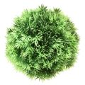 Floristik24 Grass ball decorative ball artificial plants green Ø15cm 1pc