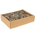 Natural Grey Moss for Crafting and Home Decoration 500g | Floristik24.co.uk