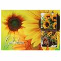 Floristik24 Voucher sunflower with envelope 5pcs