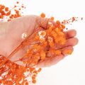 Orange Gypsophila Dried Flower