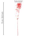 Dried Baby's Breath (Gypsophila) Bunch 75cm 100g | Floristik24.co.uk