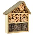 Floristik24 Insect hotel insect house light brown 25cmx8.5cmx32cm
