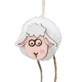 Floristik24 Hanging decoration spring Easter decoration sheep pendant 10cm 12pcs