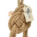 Floristik24 Hanging decoration maritime rope knot decoration with shells Ø9cm 45cm
