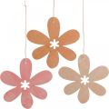 Floristik24 Deco flower wooden pendant wooden flower orange/pink/yellow 12 pieces