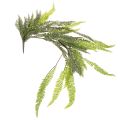 Floristik24 **Artificial Fern Stem 118cm for Decorative Indoor and Outdoor Use**

```html
<h2>Artificial Fern Stem 118cm for Stylish Home Décor</h2>

<p>This artificial fern stem, with an impressive length of 118cm, is a versatile decoration piece for enhancing your 