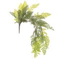 Floristik24 Artificial Fern Stem for Vases 80cm Green

```html
<h2>Artificial Fern Stem for Home Decoration</h2>

<p>
This artificial fern stem is a versatile decorative piece designed to complement any indoor setting. Measuring 80cm in length, it features a beautifu