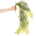 Artificial Fern Stem for Vases 80cm Green

```html
<h2>Artificial Fern Stem for Home Decoration</h2>

<p>
This artificial fern stem is a versatile decorative piece designed to complement any indoor setting. Measuring 80cm in length, it features a beautifu | Floristik24.co.uk