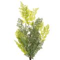 Artificial Fern Stem for Vases 80cm Green

```html
<h2>Artificial Fern Stem for Home Decoration</h2>

<p>
This artificial fern stem is a versatile decorative piece designed to complement any indoor setting. Measuring 80cm in length, it features a beautifu | Floristik24.co.uk