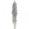 Floristik24 Christmas branch for hanging pine cones snowed 110cm