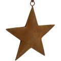 Floristik24 Christmas pendant star metal star rust look H13.5cm