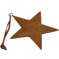 Floristik24 Christmas pendant star metal star rust look H13.5cm