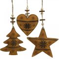 Floristik24 Christmas tree decoration star fir heart imitation leather 11cm 3pcs