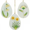 Floristik24 Eggs to hang, wooden Easter eggs, flower motif, dandelion snowdrop Winterling H14cm 3pcs