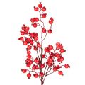 Floristik24 Künstlicher Rosehip-Zweig mit glänzenden roten Beeren, 62cm