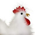 Floristik24 Rooster hen with feathers white 17cm, 21cm 2pcs